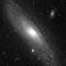 M31
