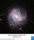 Galaxie tisíce rubínů