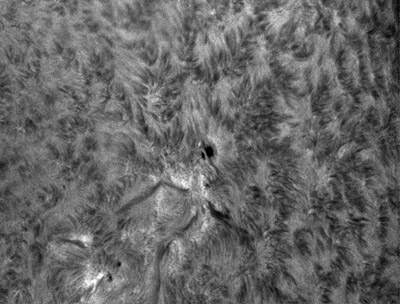 Jeden z nejvydařenějších snímků v chromosféry tohoto měsíce, aktivní oblast NOAA 12171. Ačkoli tato oblast nebyla příliš erupčně aktivní, mohli jsme v ní pozorovat stále měnící se filamenty (tmavé hadovité útvary, které jako by vylézaly z oblasti pod skvrnou). Na tomto snímku si také můžete všimnout, jak vypadají fibrily (vláknovité útvary) v aktivní oblasti, kde na ně působí silné magnetické pole a mimo tuto oblast, kde se zdají méně 