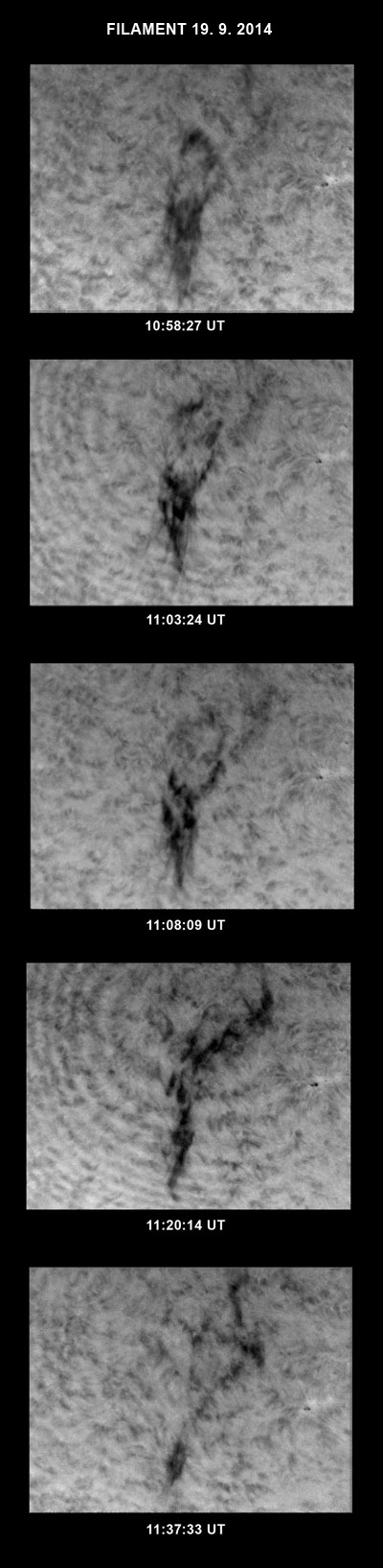 Konečný vývoj původně klidného filamentu. Původně klidný filament se 19. 9. 2014 před 11 hodinou dopolední aktivizoval a na posledních snímcích už není téměř vidět. Záznamy máme od 10:58:24 UT do 11:39:31 UT. V té době byl ještě na východní straně viditelného slunečního disku. Jako protuberance byl na okraji Slunce pozorovatelný 15. 9. 2014.