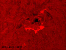 Snímek sluneční chromosférické erupce.